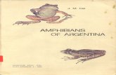 Anfibios Argentina