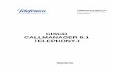 Manual Cisco Callmanagers Cipt1-5[1].1(Lucia)