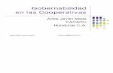 Gobernabiliadad en als cooperativas.pdf