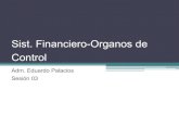 Sist Financiero Org.de Control(3).pdf