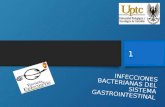 Infecciones Bacterianas Del Sistema Gastrointestinal
