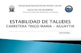 Estabilidad de Talud Tramo Tingo-Aguaytia