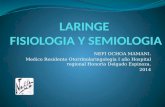 Laringe Anatomia y Semiologia