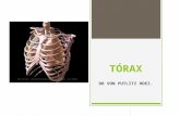 TÓRAX anatomía de superficie.pptx