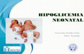 Hipoglicemia Stable