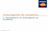 01. Procedimiento de Investigacion de Incidentes(DSMA)