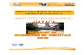 Oaxaca IRC 2010.pdf