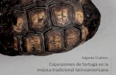 Caparazones de tortuga en la música tradicional latinoamericana