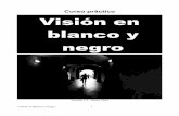 Vision Blanco Negro