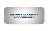 Riesgo BiológicSFo y Bioseguridad