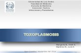 Toxoplasmosis 2014