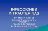 Infecciones Intrauterinas TORCH - Dr. Mervin Chavez