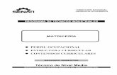 Matricería - Semestre II.pdf