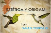 Fabian Correa - Estetica y Origami