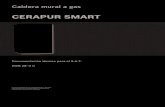 Cerapur Smart ZWB 28-3 C Manual Tecnico (1)