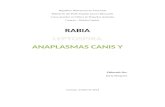 Rabia, Leptospira, Anaplasmas y Erhlichia