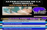 seminario fisiopatologia del coma.pptx