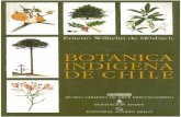 Botánica Araucana.pdf