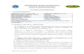 SYLLABUS PERCEPCION REMOTA Y SIG-2014-2015.docx