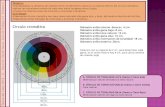 Circulo Cromatico y Retrato - Estructura Luz y Color.pdf