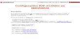 P2P Hikvision.pdf