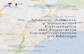 Mapeo, Análisis y Valoración Estratégica del Programa CaixaProinfancia en Málaga