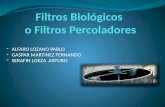 Filtro biológico (1)