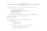CAPÍTULO III Estructura y Función de La MembranaCelular