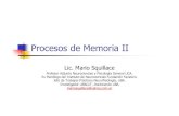 Lic. Mario Squillace - Procesos de Memoria II