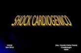 Shock Cardiogénico USJB 2014