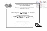 tesis comercio electronico.pdf