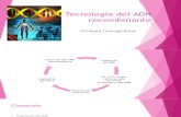 Tecnología del ADN recombinante.pdf