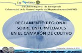 10. Reglamento Regional de Enfermedades de Camarón - Reinaldo Morales