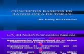 Conceptos Básicos de Rx de Tórax (Dra. Ruiz).pdf