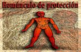 HOMÚNCULO DE PROTECCIÓN.pdf