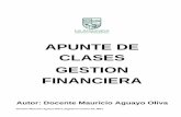 Apuntes de Clases Gestión Financiera.pdf