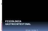 FISIOLOGIA GASTROINTESTINAL.pptx