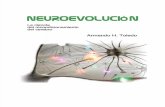 NEUROEVOLUCION. La ciencia del recondicionamiento del cerebro_A.H. Toledo (2011)
