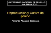 Biologia y Cultivo de Paiche Alcantara 2013