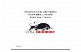 Bullmine - Copia (1)