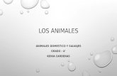 Los Animales Power Point