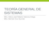 Teoría General de Sistemas (Archivo Ligero)