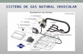 Felipe.motor a Gas Natural
