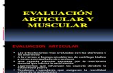 Evaluación Articular y Muscular