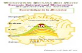 Informe Visita Algamarca