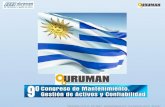 Mantenimiento y Gestion de Activos Julio Nascif Uruman 2013