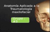 Anatomía Aplicada a La Traumatología Maxilofacial(1)