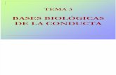 Bases Biologicas de La Conducta[1]