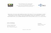 ((((Tesis Univ.caraboibo)))) -Ingenieria Electrica (((Proyecto de Optimizacion Tecnica y Economica Del Sistema Electrico Comunidad de San Agustin-caso Eleval,c.a.))))),172pags.