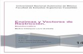 Enzymas y Vectores de Restriccion